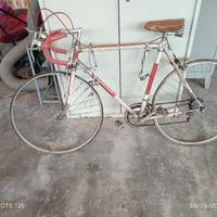 ATALA CORSA
