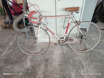 ATALA CORSA