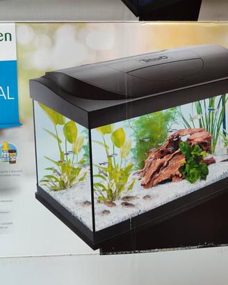 Acquario Tetra Primo Tropical 54 lt