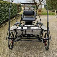 carrozza  maratona per pony