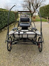carrozza  maratona per pony