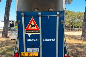 Trailer trasporto cavalli