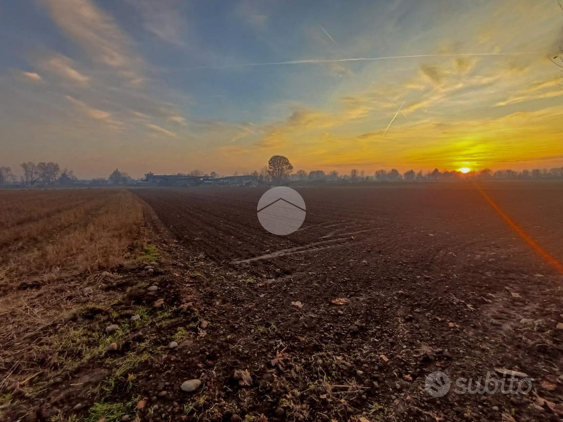 TER. AGRICOLO A CARAVAGGIO - Vista 2
