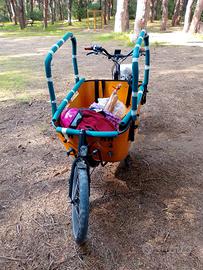 Cargo bike Vogue carry 2 