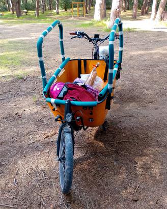 Cargo bike Vogue carry 2 
