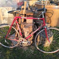 bicicletta Moser