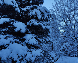 Appartamento INVERNO Sestola centro