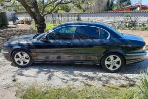 Pantera nera ruggente