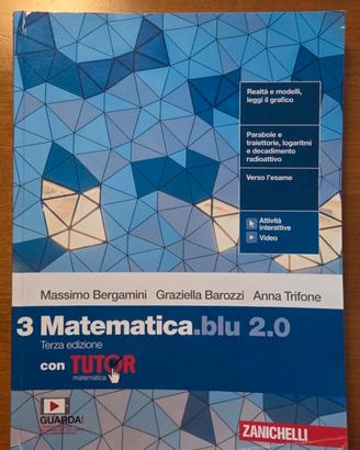 Matematica blu 3