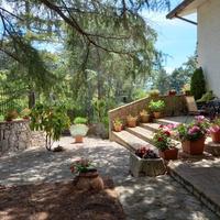 Villa singola immersa nel verde - Ferrazzano