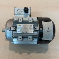 Motore Trifase 4