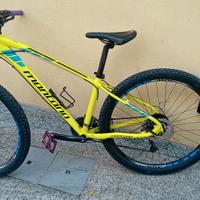 mountain bike