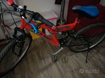 Bicicletta