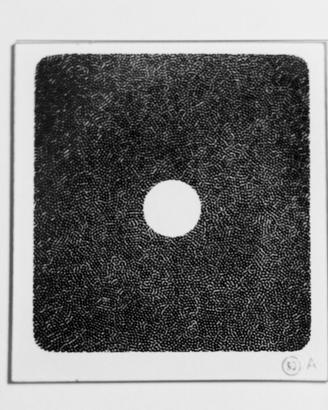 Filtro COKIN Spot Grey 2 A63
