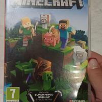 minecraft nintendo switch