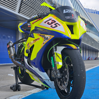 Kawasaki Ninja ZX-10R Pista