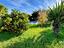 Immagine 18