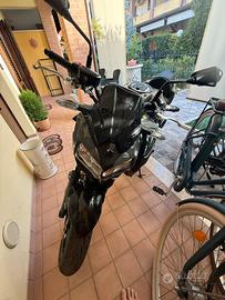 Kawasaki Z650 2024
