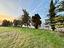 Immagine 21