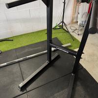 DIP STATION LACERTOSUS