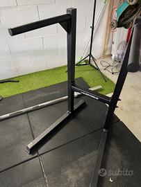 DIP STATION LACERTOSUS