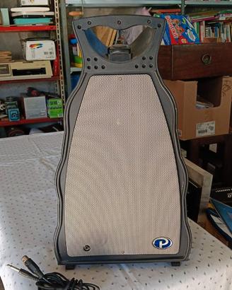 Cassa phonic 100W