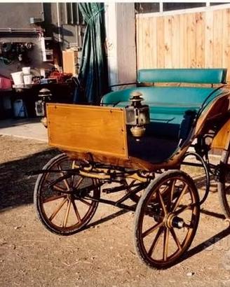 Carrozza timonella