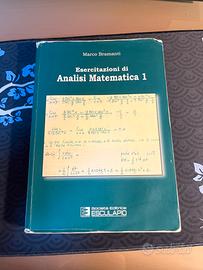 Libro Bramanti esercizioni di analisi matematica 1