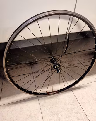 Cerchioni bicicletta e gomme 29
