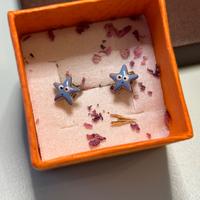 Orecchini in argento