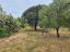 Immagine 20