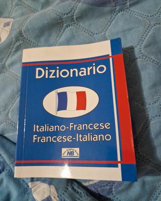 dizionario italiano-francese e viceversa