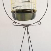 portata gabbia per uccelli 