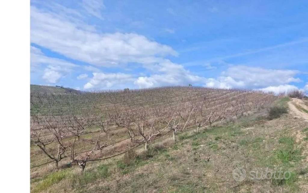 Immobile in asta di 49480 m² a Altomonte - Vista 3