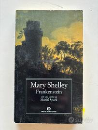 Libro “Frankenstein” di Mary Shelley