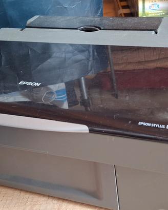 Stampante Epson Stylus Dx4000