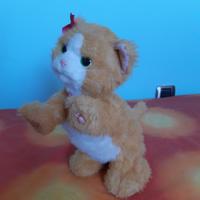 Fur Real Daisy (gatto interattivo)