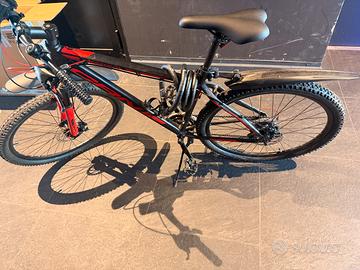 Bicicletta Carinelli CRN 1000