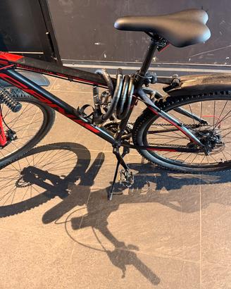 Bicicletta Carinelli CRN 1000