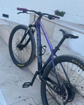 mtb 29 pollici