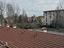 Immagine 11