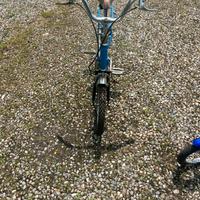 Bici tipo Graziella” pieghevole bimbi