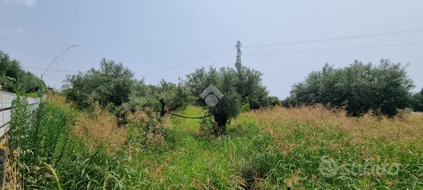 TER. AGRICOLO A CATANZARO - Vista 6