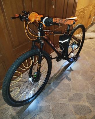 wheelie bike