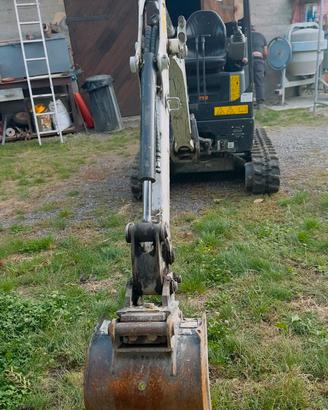 Mini Escavatore Bobcat 17 q