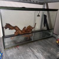 Terrario 89cm Lx52 cm Hx 38,5 P