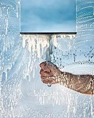 Windows cleaner