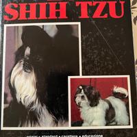 Cuccioli shih tuz