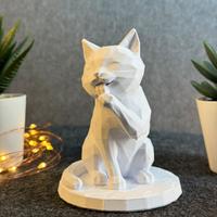 Cute cat