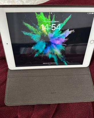 iPad 5a Gen - 32GB - 2017